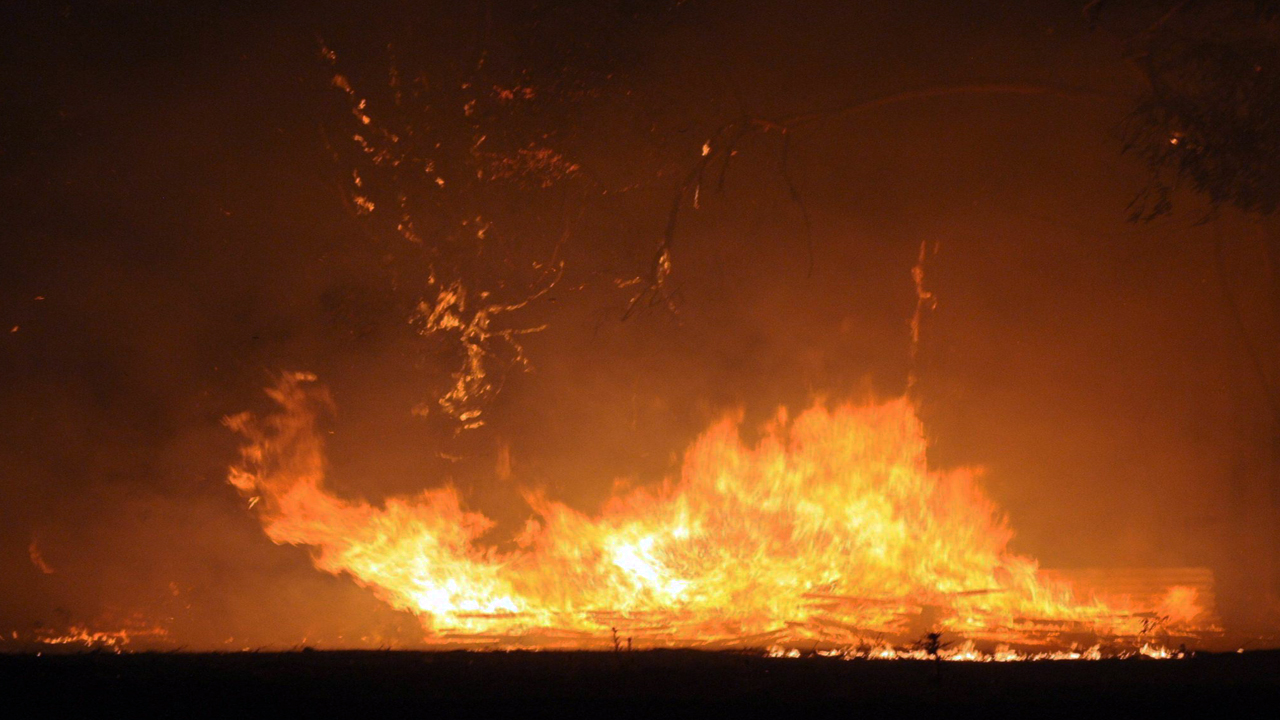 La GCA collabora all’Avvistamento Incendi Boschivi 