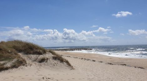 Corso Sorveglianza Spiagge per volontari GCA