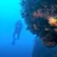 MARE SICURO 23